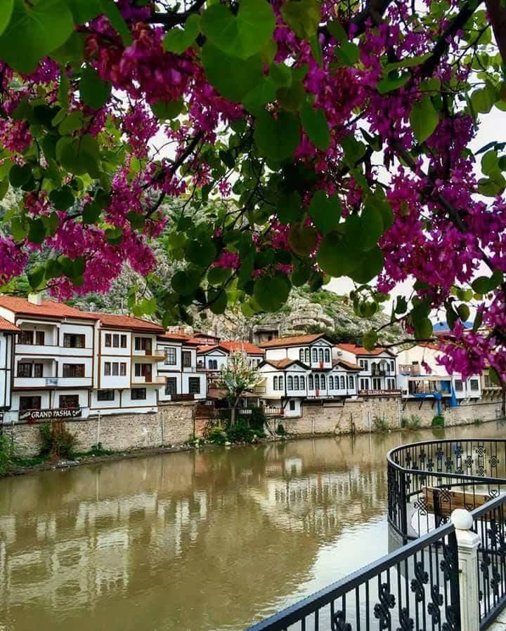 Sehri̇-Zade Yalisi Amasya Exterior foto